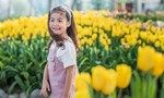 Mãn nhãn với lễ hội hoa Tulip lớn nhất Việt Nam tại Vinpearl Nha Trang