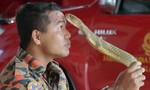 Người huấn luyện rắn nổi tiếng Malaysia bị rắn hổ mang cắn chết