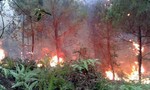Cháy rừng diện rộng trong khu bảo tồn núi Tà Cú