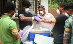 Vi rút viêm não hiếm gặp giết chết 10 người ở Ấn Độ