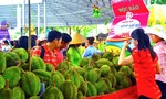 Suối Tiên rực rỡ với lễ hội trái cây Nam bộ 2018