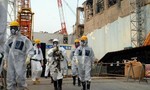 Chất phóng xạ ở nhà máy Fukushima được tìm thấy trong rượu Mỹ
