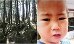 Bé trai 2 tuổi sống sót sau ba ngày lạc trong rừng