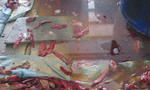 Xác côn trùng trong bể ngâm của cơ sở chế biến muối ớt “khủng” ở Sài Gòn