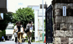 Đại học ở Nhật bị tố sửa điểm thi để hạn chế học viên là nữ