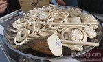 Những món trang sức đang góp phần giết chết loài voi