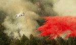 Thảm họa cháy rừng tồi tệ nhất lịch sử ở California
