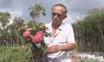 Làng hoa Sa Đéc: Khi nông dân tự đi tìm khách hàng