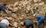 Phát hiện các khu chôn tập thể hơn 166 người ở Mexico