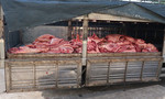 Tiếp tục phát hiện hơn 1 tấn thịt heo nhiễm bệnh tại chợ Bình Điền