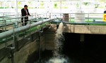 Khánh thành nhà máy xử lý nước thải công nghệ vi sinh của ông Dũng "lò vôi"