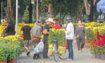 Hoa kiểng Tết khắp nơi ồ ạt đổ về Sài Gòn