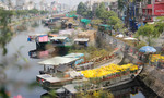 Nhộn nhịp chợ hoa trên sông duy nhất ở Sài Gòn