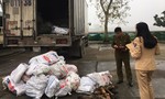Xe tải chở 1.000kg thịt bốc mùi vào Sài Gòn