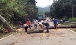 CSGT giúp dọn dẹp cây ngã chắn ngang đường gây ách tắc