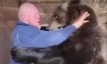 Clip võ sĩ 46 tuổi vật ngã gấu “khủng”