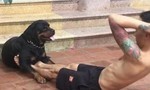 Clip chú chó giữ chân giúp chủ tập cơ bụng