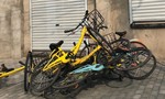 Công ty khởi nghiệp Trung Quốc mất hơn 200.000 xe đạp/năm vì trộm