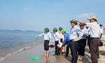 Cấm đưa du khách ra đảo cát mới nổi lên giữa biển Hội An