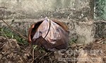Vụ 300 thai nhi trong rác ở Cà Mau: Kiểm tra, phát hiện 7 hũ nghi đựng xác thai nhi