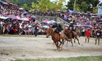Lần đầu tiên, lễ hội đua ngựa được tổ chức tại Fansipan