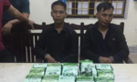 Bắt 15 kg ma túy đá từ Lào đưa vào Sài Gòn tiêu thụ