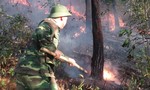 Hơn 1.000 người khống chế bốn đám cháy rừng giữa trời nắng nóng
