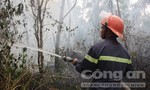 Nhiều héc ta rừng ở Quảng Nam và Quảng Ngãi bị cháy rụi