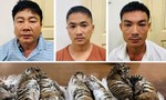 Phá đường dây buôn bán 7 con hổ xuyên quốc gia