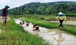 Ba chàng trai ngăn suối, dạy bơi cho trẻ em dưới núi lửa Chư Đăng Ya