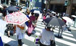 Nhật Bản: 5.664 người nhập viện, 11 người tử vong trong đợt nắng nóng