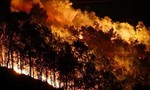 Xuyên đêm khống chế vụ cháy rừng tại núi Nầm, Hà Tĩnh