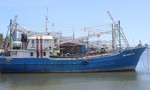 Nhiều tàu cá công suất lớn ở Quảng Nam nằm bờ vì không hiệu quả