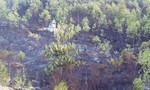 Cháy hơn 80 ha rừng keo của người dân huyện Duy Xuyên
