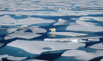Băng ở Greenland mất 11 tỷ tấn chỉ trong 1 ngày vì Trái đất nóng lên