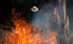 Rừng Amazon cháy ngùn ngụt, dấy lên lo ngại toàn cầu