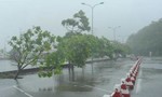 Cận cảnh mưa dông thổi bay người tại Hà Nội