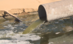 Người dân Hà Tĩnh bức xúc vì nhiều hồ nuôi tôm xả thải gây ô nhiễm môi trường