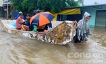 Đảo ngọc thành “đảo ngập”: Hơn 4.000 hộ dân bị ảnh hưởng
