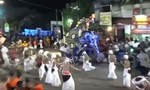 Clip 'voi điên' tấn công đám đông tại lễ hội, 18 người bị thương