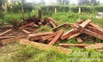 Gặp đoàn kiểm tra, “lâm tặc” bỏ lại lượng lớn gỗ chạy thoát thân