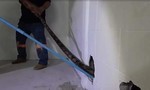 Clip đập tường bắt trăn “khủng” chui vào nhà