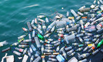 TP.HCM: Phát động cuộc thi viết 'Nói không với rác thải nhựa'
