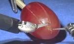Clip robot khoe khả năng khéo léo khi “phẫu thuật” quả nho