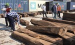 TPHCM: Phát hiện 50 container gỗ quý "đội lốt' gỗ thường nhập khẩu
