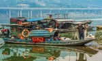 Trung Quốc cấm đánh bắt thủy sản 10 năm trên sông Trường Giang