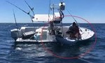 Clip ngư dân câu được cá ngừ “khủng” hơn 300 kg