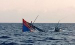 Tàu cá Bình Định chạy bão bị chìm, 12 ngư dân mất tích