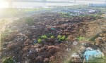 Bức xúc vì bãi rác “khủng” ở Đà Nẵng ảnh hưởng người dân