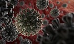 WHO triệu tập họp về biến thể của SARS-CoV-2 siêu lây nhiễm